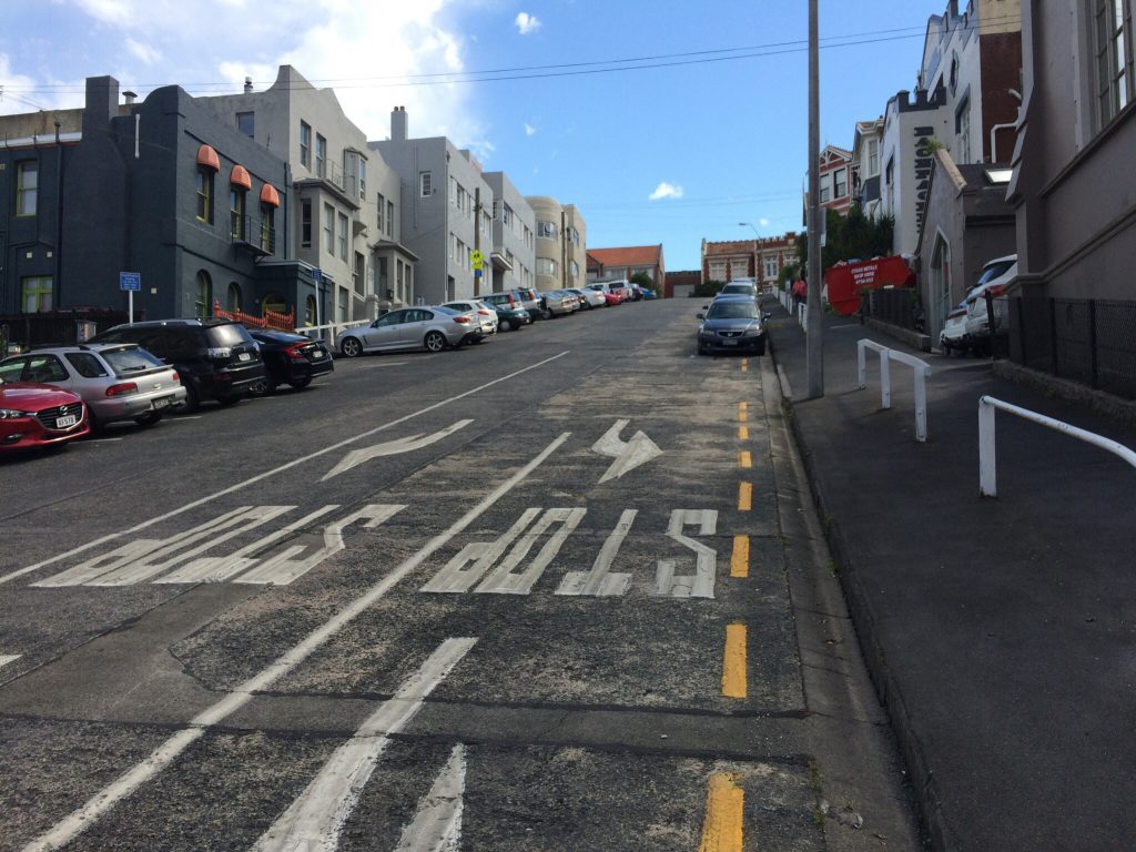 dunedin_steep_street